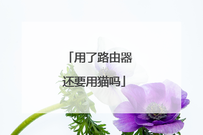 用了路由器还要用猫吗