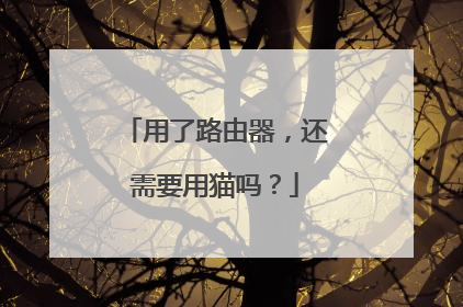 用了路由器,还需要用猫吗?