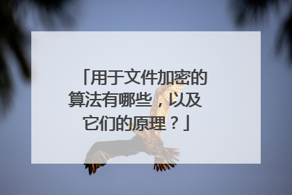用于文件加密的算法有哪些,以及它们的原理?