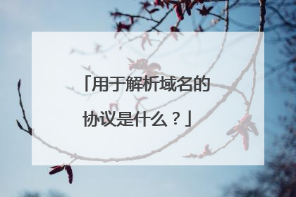 用于解析域名的协议是什么?