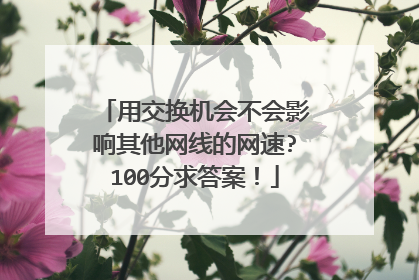 用交换机会不会影响其他网线的网速?100分求答案！