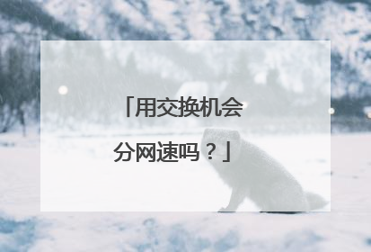 用交换机会分网速吗?