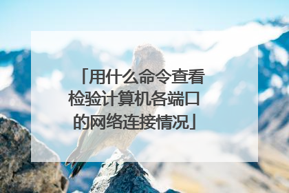 用什么命令查看检验计算机各端口的网络连接情况