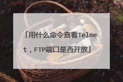 用什么命令查看Telnet,FTP端口是否开放