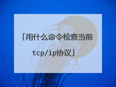 用什么命令检查当前tcp/ip协议