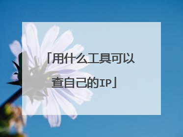 用什么工具可以查自己的IP