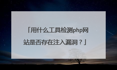 用什么工具检测php网站是否存在注入漏洞？