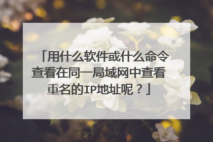 用什么软件或什么命令查看在同一局域网中查看重名的IP地址呢？