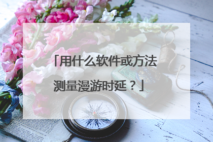 用什么软件或方法测量漫游时延？