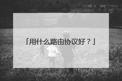 用什么路由协议好?