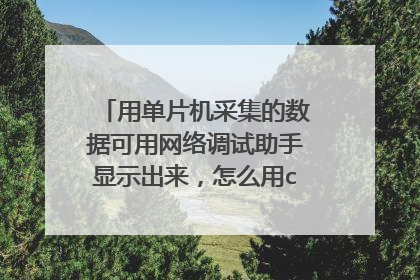 用单片机采集的数据可用网络调试助手显示出来，怎么用c#语言，把得到的数据放到数据库？