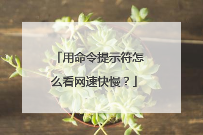 用命令提示符怎么看网速快慢?