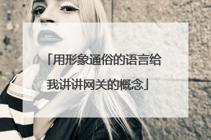 用形象通俗的语言给我讲讲网关的概念