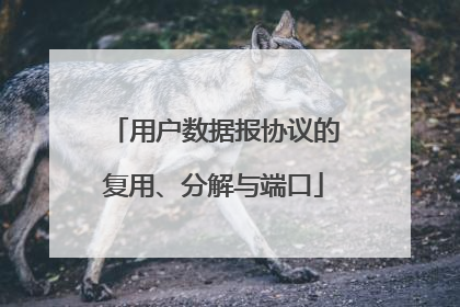 用户数据报协议的复用、分解与端口
