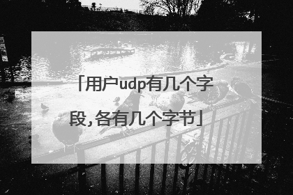 用户udp有几个字段,各有几个字节