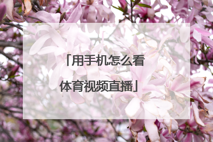 用手机怎么看体育视频直播