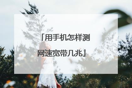 用手机怎样测网速宽带几兆