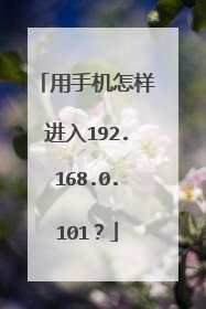 用手机怎样进入192.168.0.101？