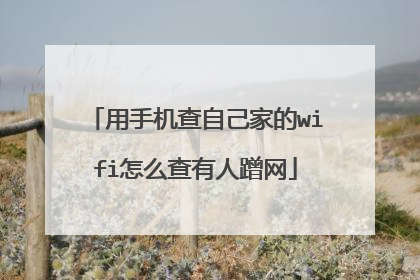 用手机查自己家的wifi怎么查有人蹭网