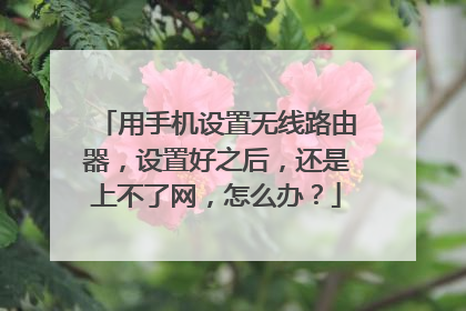 用手机设置无线路由器，设置好之后，还是上不了网，怎么办？
