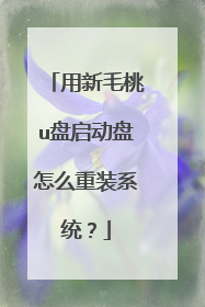 用新毛桃u盘启动盘怎么重装系统?