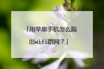 用苹果手机怎么踢出wifi蹭网?