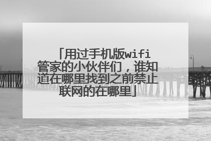 用过手机版wifi管家的小伙伴们,谁知道在哪里找到之前禁止联网的在哪里