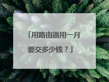 用路由器用一月要交多少钱？