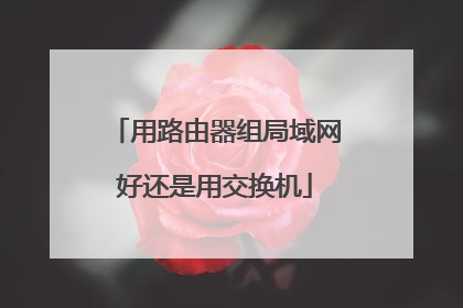 用路由器组局域网好还是用交换机