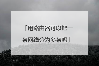 用路由器可以把一条网线分为多条吗