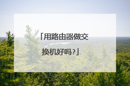 用路由器做交换机好吗?