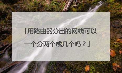 用路由器分出的网线可以一个分两个或几个吗?