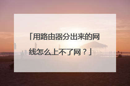用路由器分出来的网线怎么上不了网？