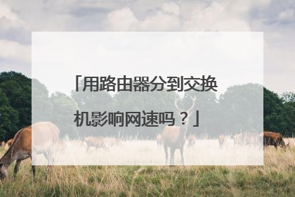 用路由器分到交换机影响网速吗?