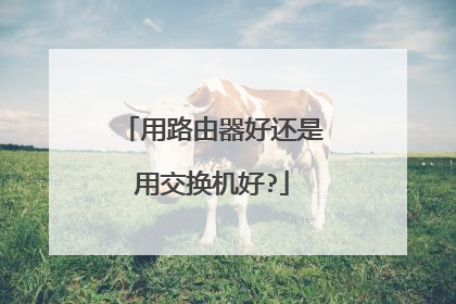 用路由器好还是用交换机好?