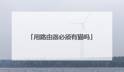 用路由器必须有猫吗