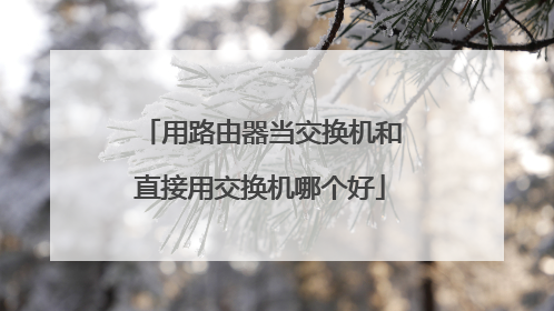 用路由器当交换机和直接用交换机哪个好
