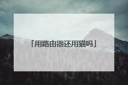 用路由器还用猫吗