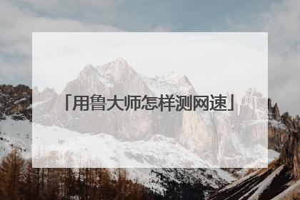 用鲁大师怎样测网速
