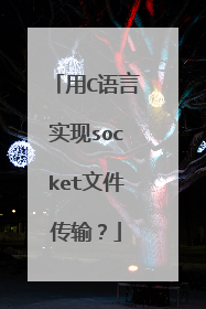 用C语言实现socket文件传输？