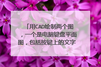 用CAD绘制两个图，一个是电脑键盘平面图，包括按键上的文字。另一个是设计并绘制一把椅子三维图。