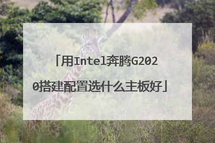 用Intel奔腾G2020搭建配置选什么主板好