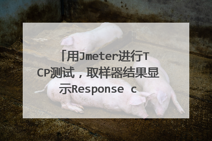 用Jmeter进行TCP测试,取样器结果显示Response code: 500错误,该怎么解决此问题呢?
