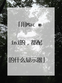 用Mac mini的，都配的什么显示器