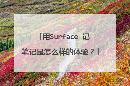 用Surface 记笔记是怎么样的体验？