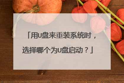 用U盘来重装系统时,选择哪个为U盘启动?