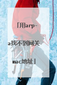 用arp-a找不到网关mac地址