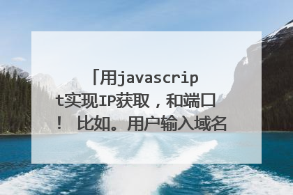 用javascript实现IP获取,和端口! 比如。用户输入域名之后 点击查询。能获取到服务器IP