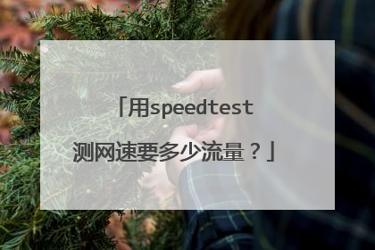 用speedtest测网速要多少流量?