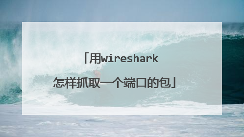 用wireshark怎样抓取一个端口的包